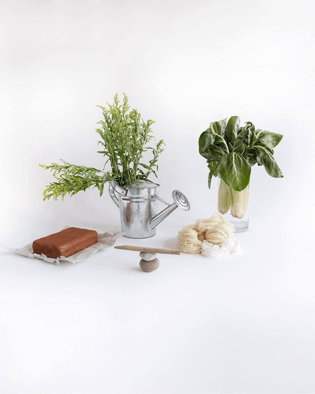 still life made of fiber, vegetables in water pots, and a watering can