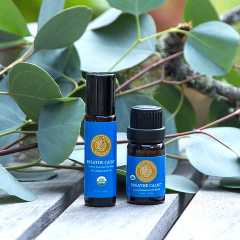 organic breathe calm essential oil blend bottles eucalyptus