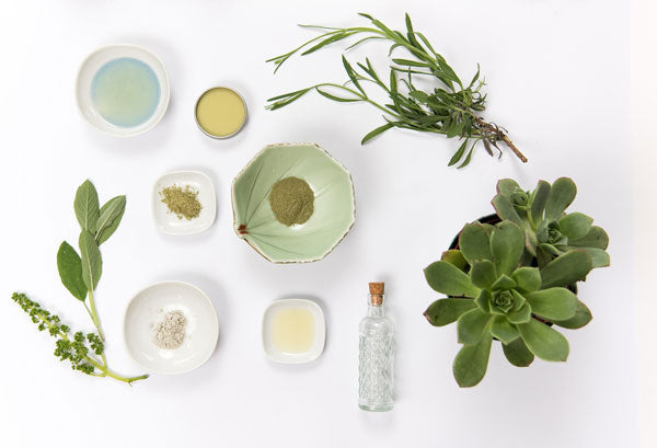 bowls containing salves and powders surrounded by herbs and a succulent plant