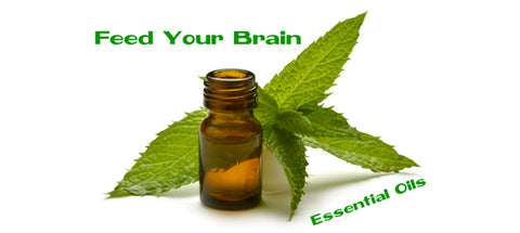 Feed Your Brain Essential Oils text next to essential oil bottle and mint leaves