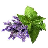 lavender flowers and peppermint leaves