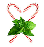 peppermint plant leaves with peppermint candy canes behind