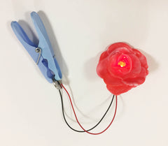 Single flower with light and peg