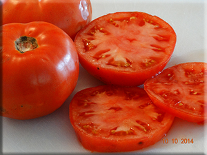 PlantFiles Pictures: Tomato 'Brandywine (Sudduth Strain)' (<i>Lycopersicon  lycopersicum</i>) by darius