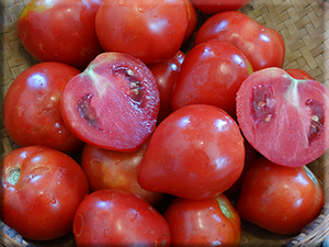 Tomato - Mémé de Beauce seeds - Heirloom Seeds Canada