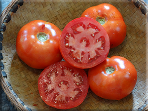 Bonny Best Tomato from Heritage Harvest Seed