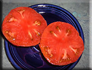 PlantFiles Pictures: Tomato 'Brandywine (Sudduth Strain)' (<i>Lycopersicon  lycopersicum</i>) by TEX_IN_MI