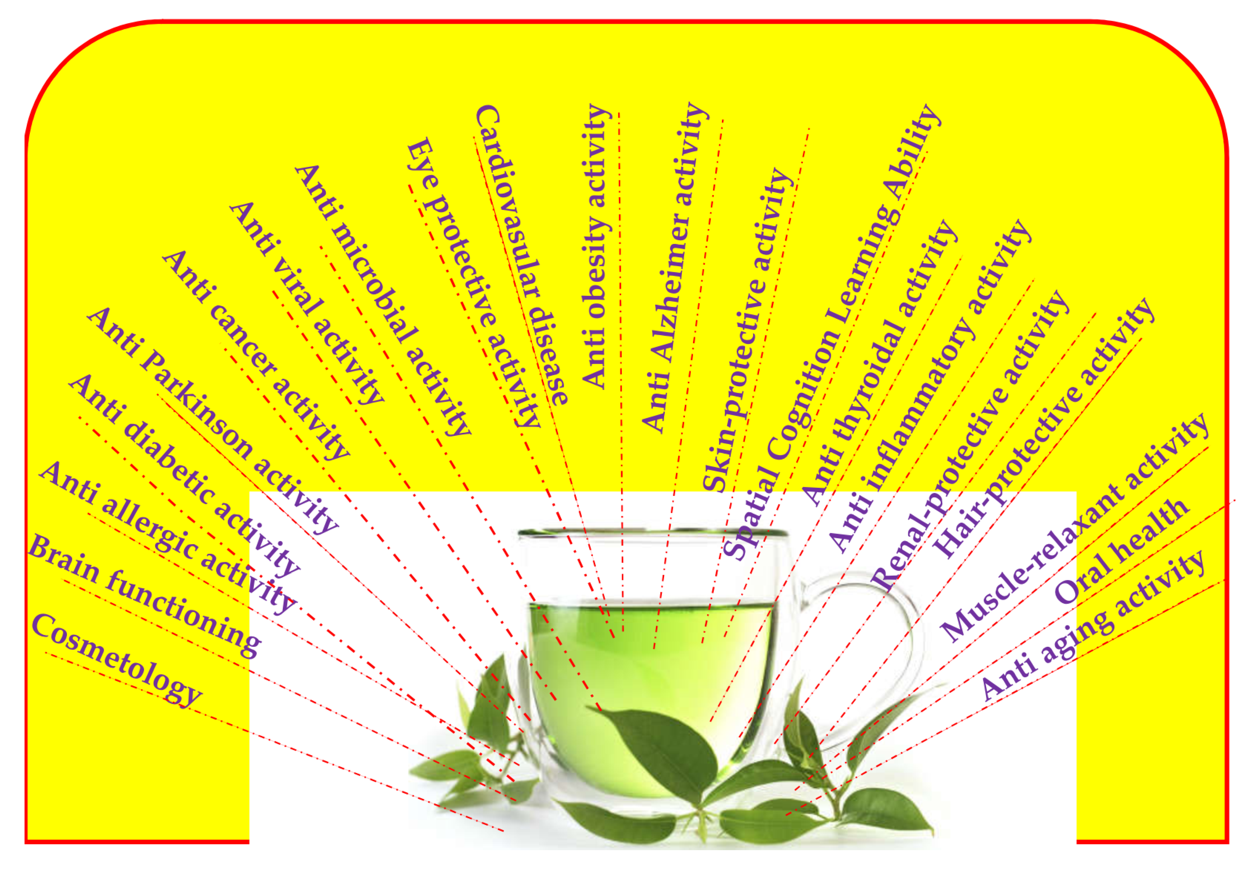 Matcha Antioxidant Benefits