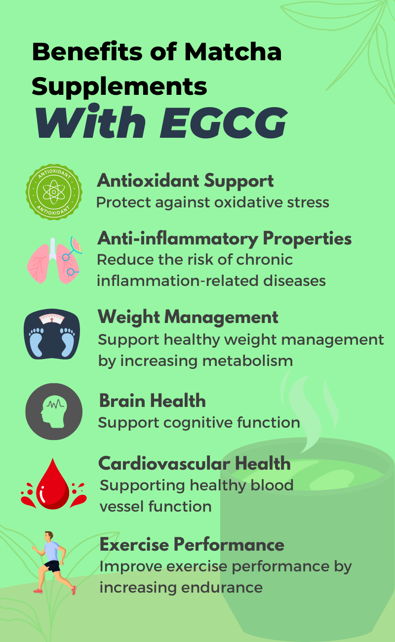 Matcha Supplements with EGCG