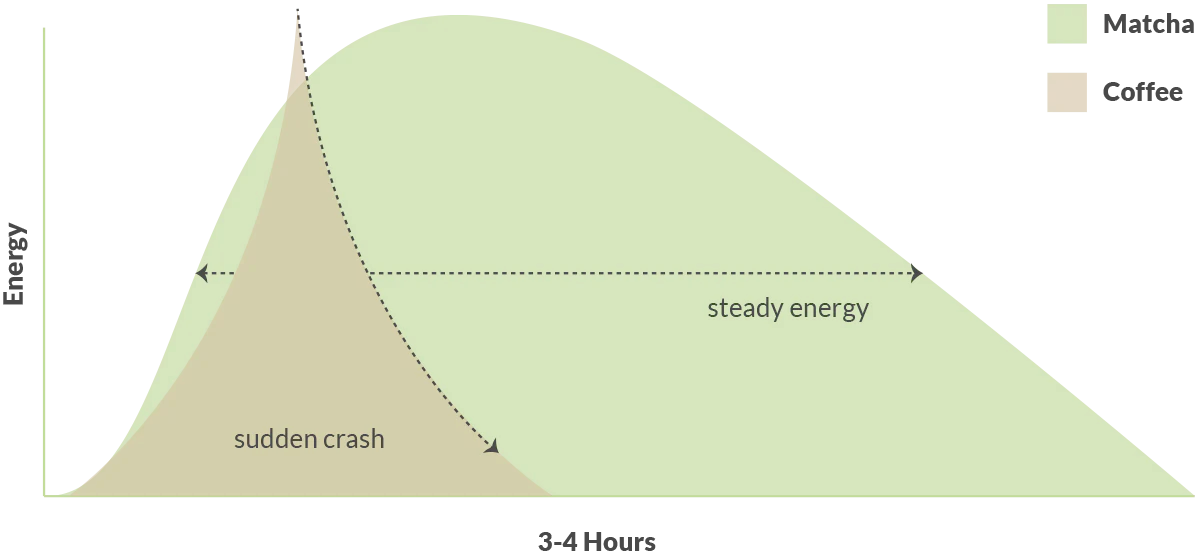 Matcha vs Coffee Energy Release