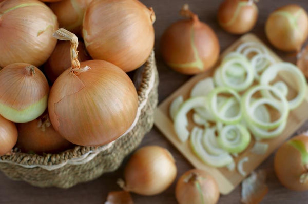Cutting yellow onions 