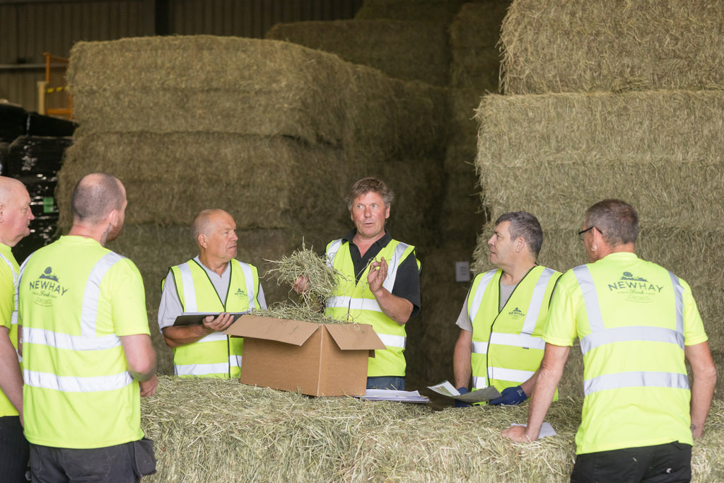 Ian and the team quality control checking the latest box of hay