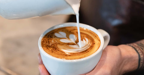 A person pouring a milk in a cup of flat milk