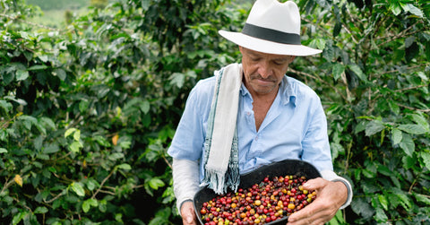 Man holding coffee beans in colombia