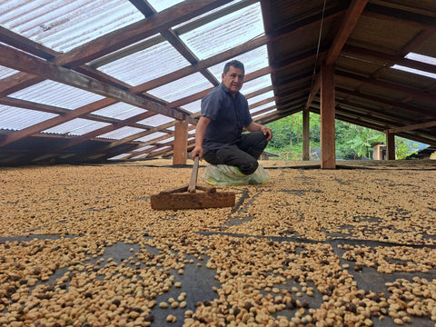 A man working in a coffee farm in Peru