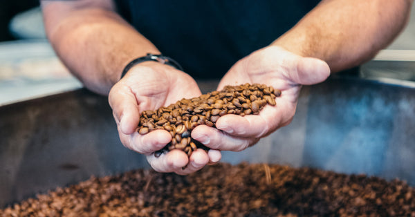 How long do coffee beans last