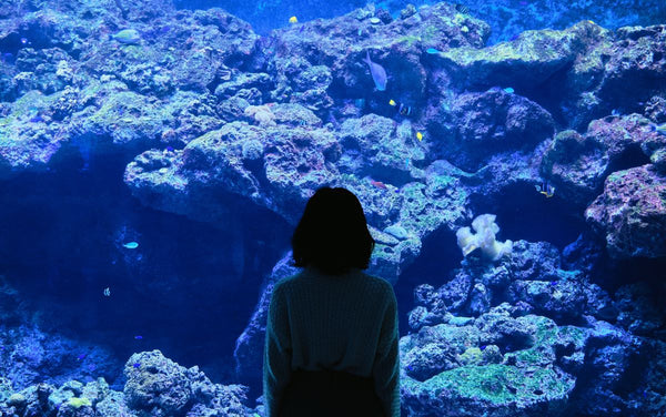 Person meditating beside an aquarium, enjoying the calming effect.