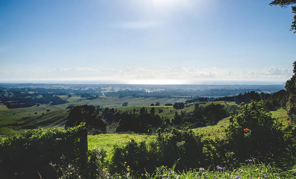Coolamon Scenic Drive lookout in byron hinterland