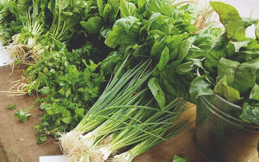 herbs and green oinons at the farmer's market in byron bay