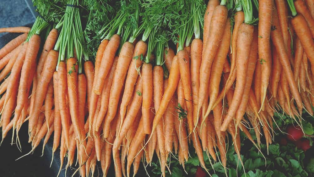 carrots at the farmer's market in byron bay