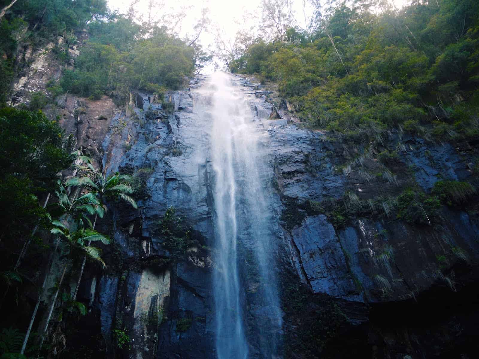 Protestors Falls Byron Bay