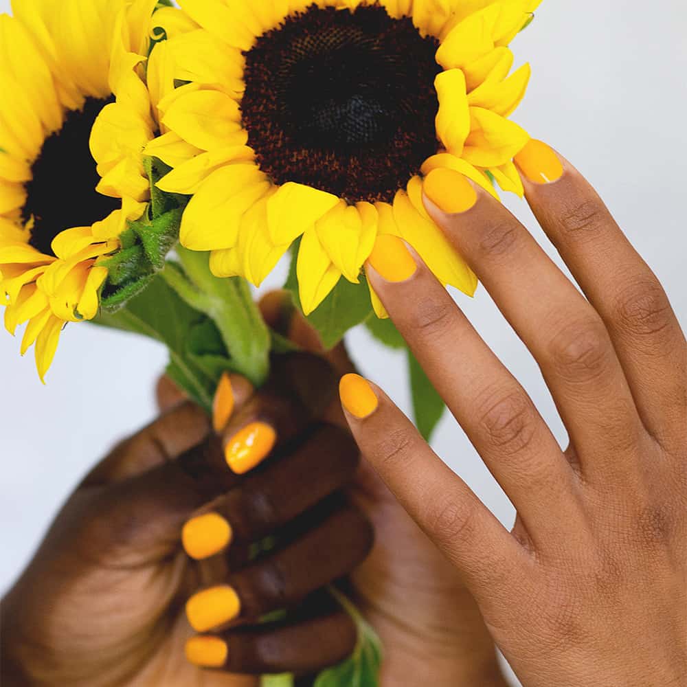 dark and medium skin tone hands holding sunflowers and wearing yellow nail polish by sienna