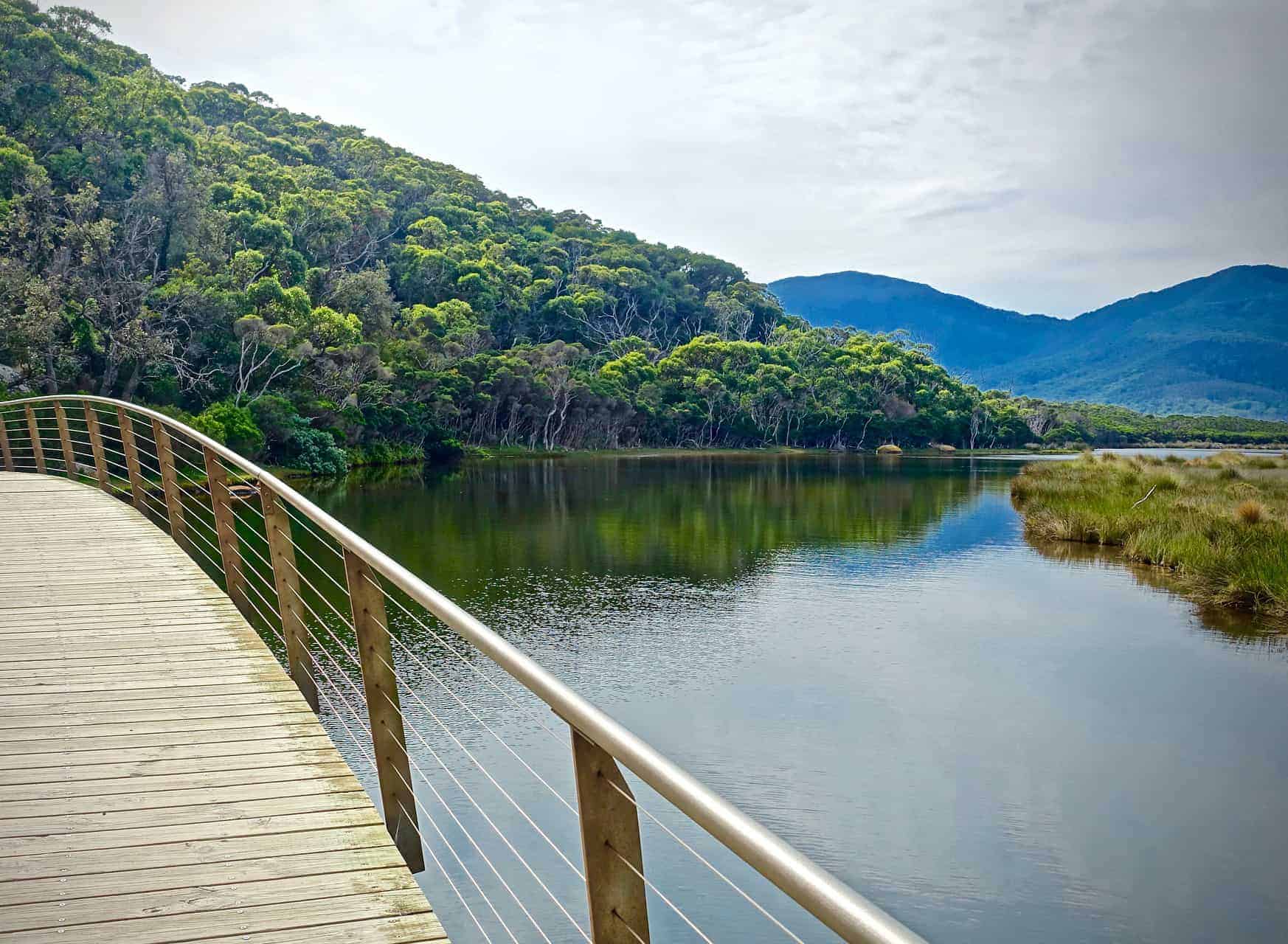 Wilsons Promontory wooden bridge and forest view in Australia