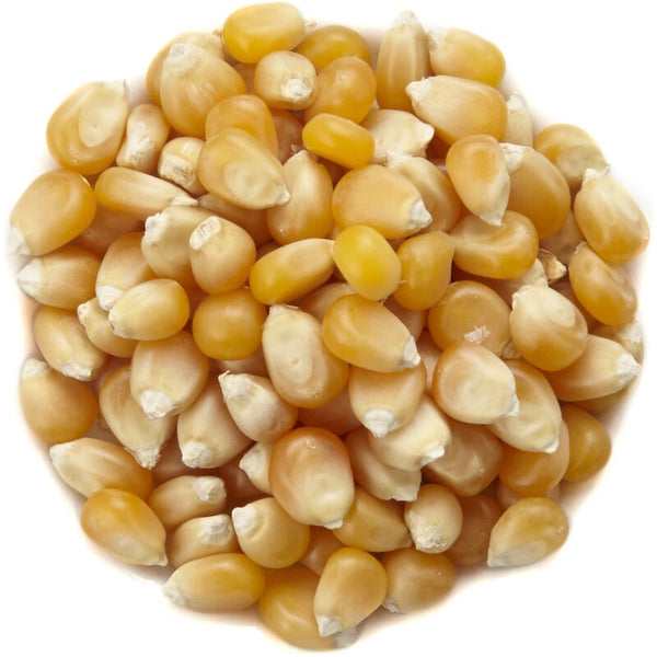 maïs bio – Pit&Pit