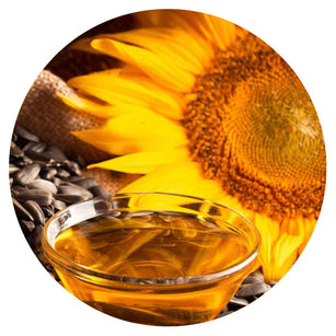 sunflower.jpg__PID:bc155c68-cd33-467c-842e-b97558b3c5fe