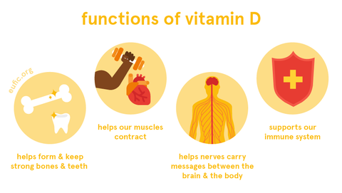 Vitamin D Organic Formula Shop