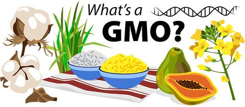 What are GMOs?