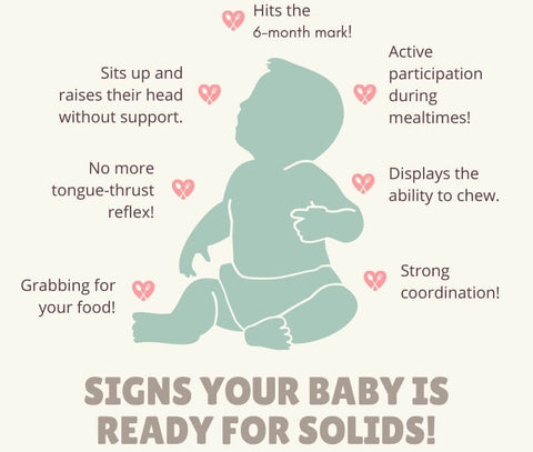 Signs of Readiness for Solid Foods