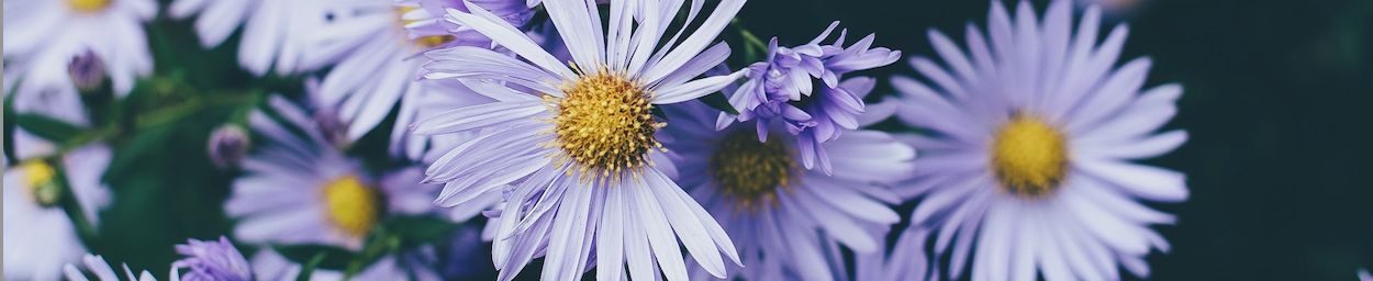 Delade Floral Design contact - Online bloemen bestellen in Doetinchem