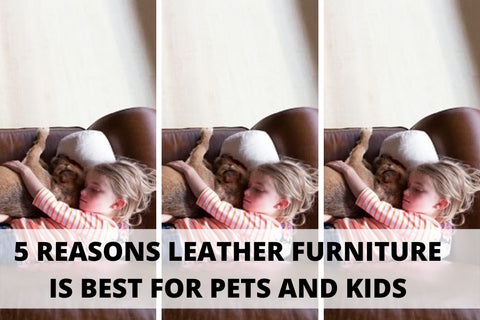 leather furniture for pets and kids