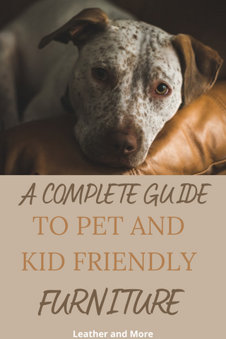 pet and kid friendly furniture