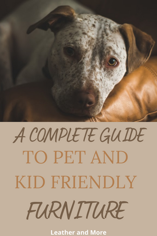 pet and kid friendly leather furniture