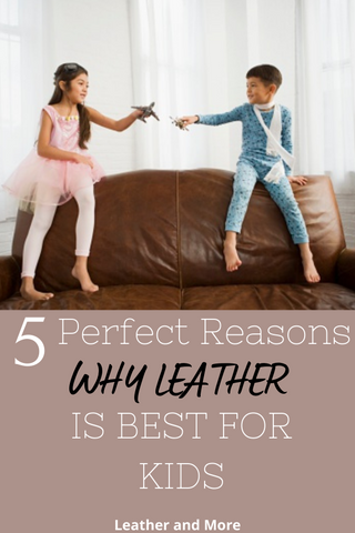 Reasons why leather furniture is best for pets and kids