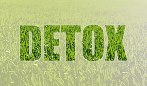 Detox lettering with grass background