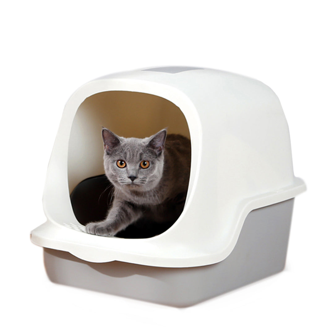 Van Ness Pets Extra Small Open Cat Litter Box, Kitten/Rabbit Size, Blue, CP0