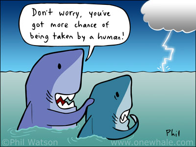 Shark oil, Fish oil, Shark Cartoon