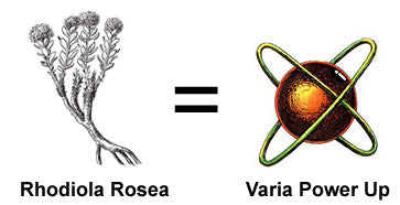 Rhodiola Rosea, Varia Power up