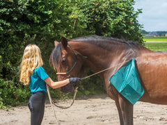 horsemanship vlag