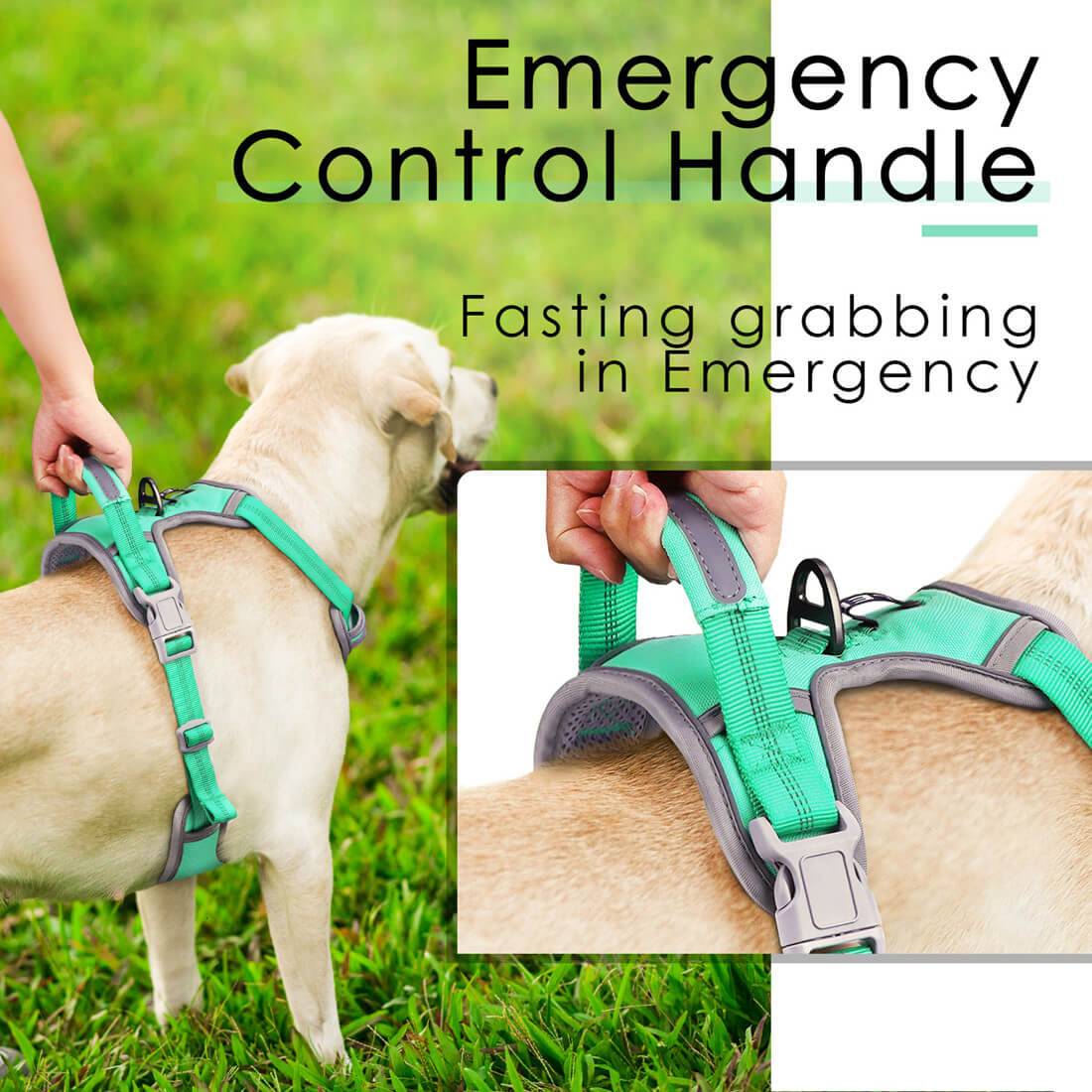what is a no pull harness for dogs