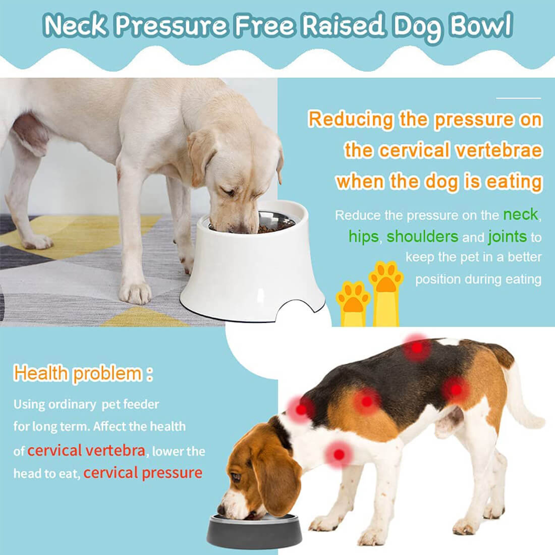 are elevated feeders good for dogs