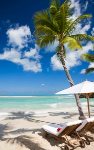 white sand beach with palm trees and lounge chairs 