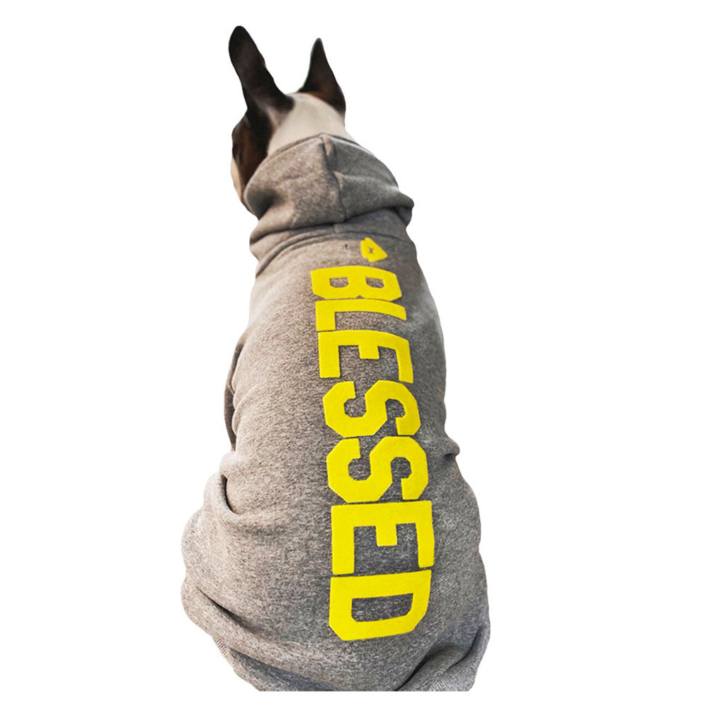 house dog sweatshirts