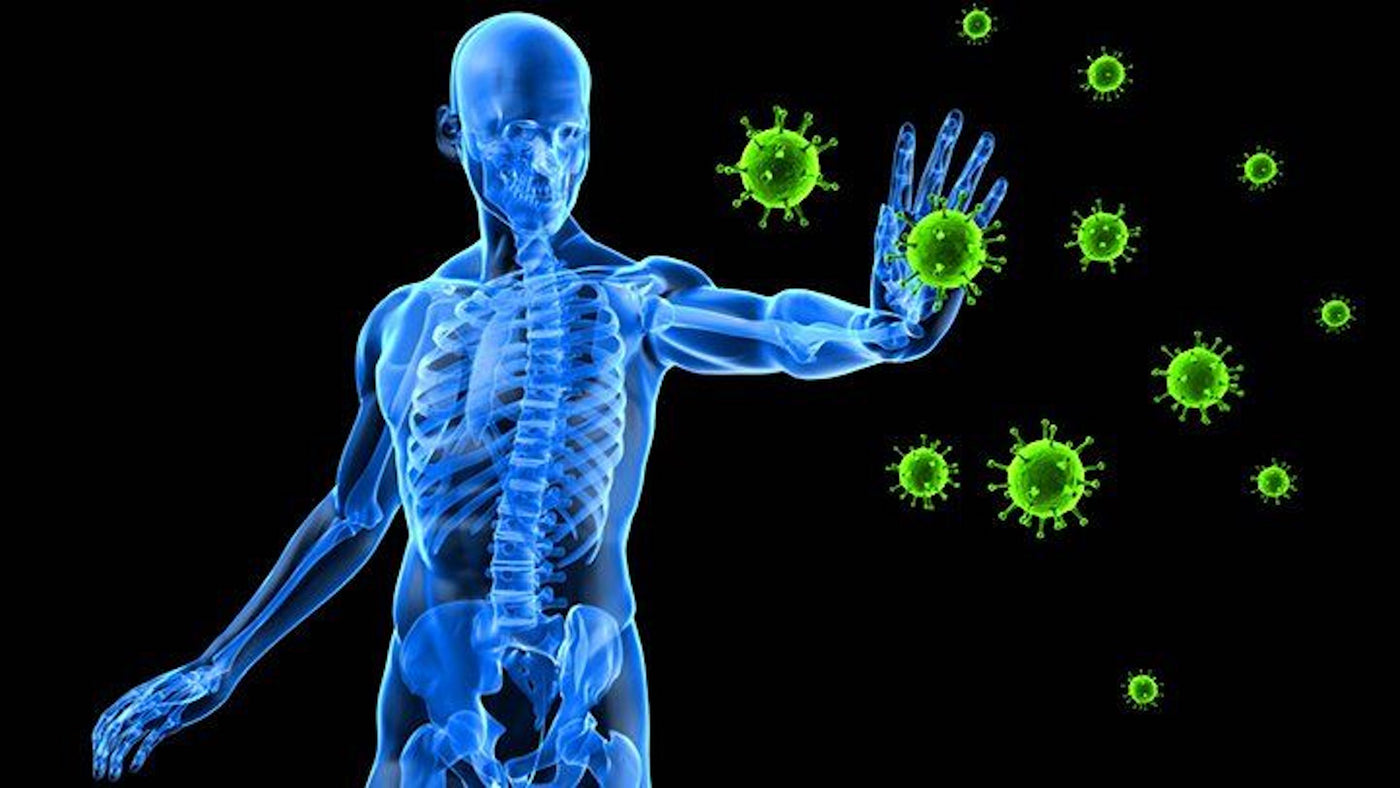 Boosting Your Immune System with CBD