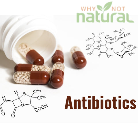 Aminoglycoside antibiotics