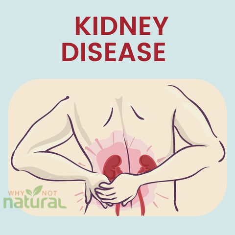 Kidney failure