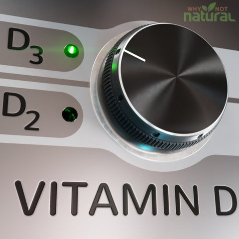 Which form of vitamin D is best for the body